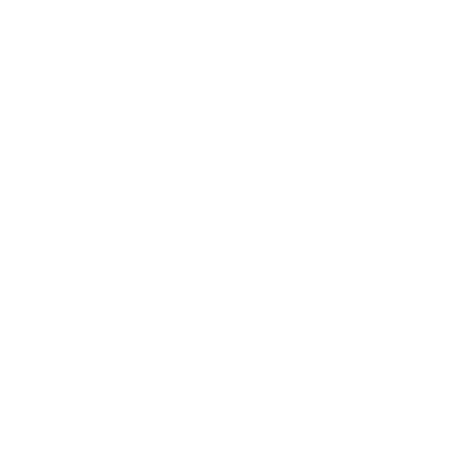Zenith Solar EV Charger